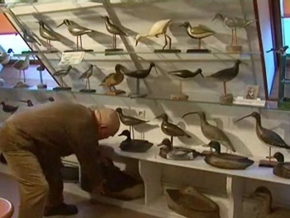 Collection Wadoux : les plus belles blettes de Picardie maritime !