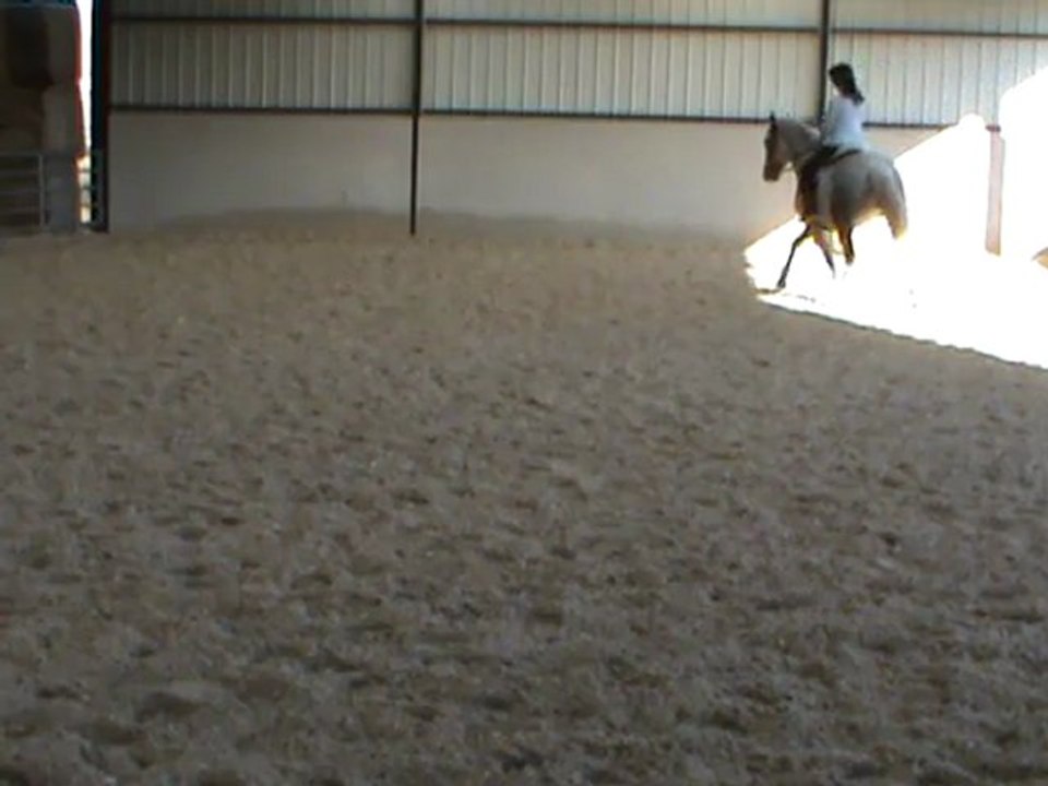 volte hanches en dedans G trot