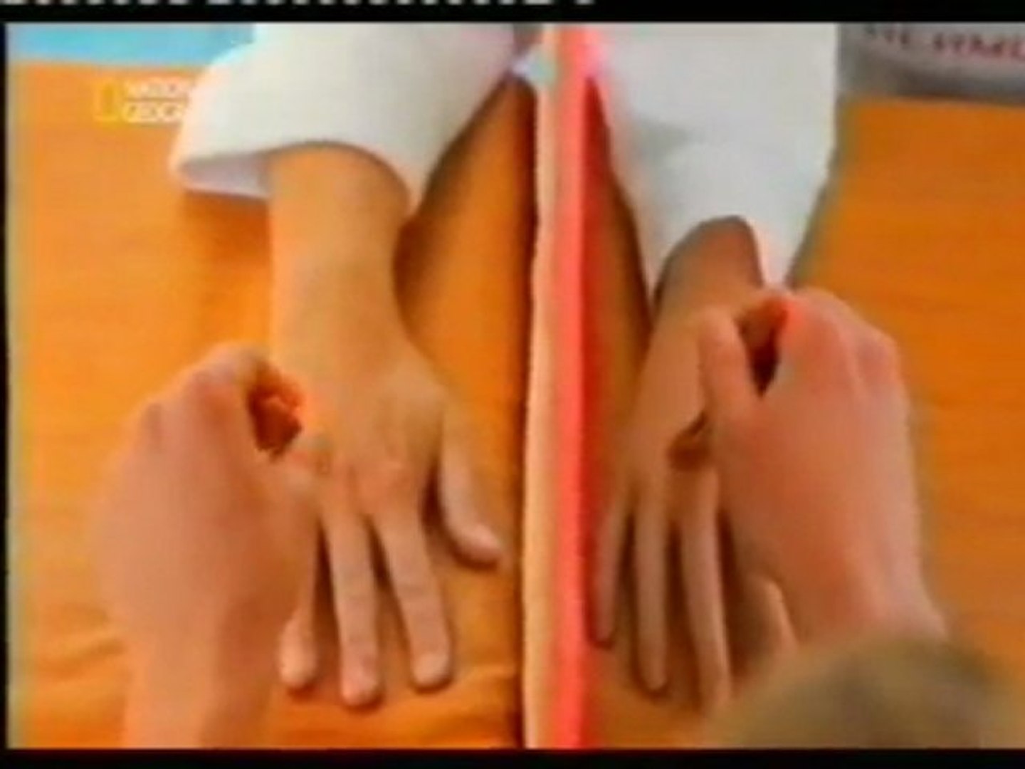 Cerebro: La ilusion de la mano de goma - Vídeo Dailymotion