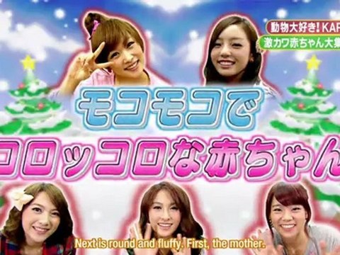 Shimura Zoo Video Dailymotion