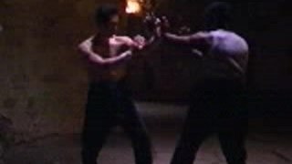 Kung fu - wing chun fighting