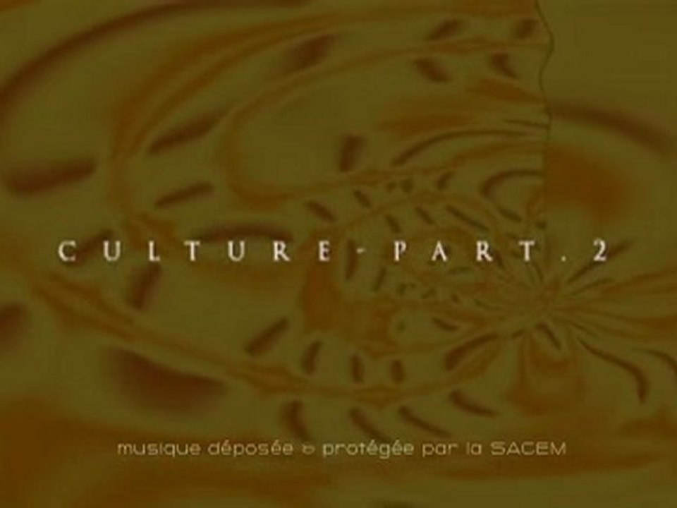 Culture-part2