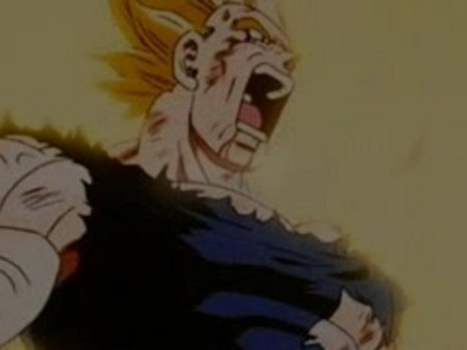 007 Vegita's Final conflict