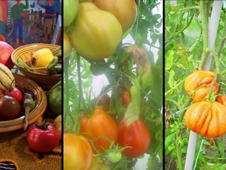 à quoi tu penses quand tu jardines?