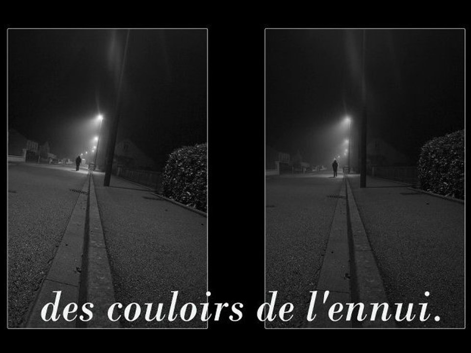 La Rue, la Nuit, le Calme