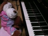 Cute Puppy plays Bach Goldberg Variations