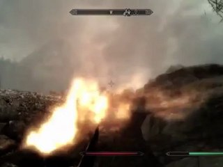 The most useless dragon in all of Skyrim