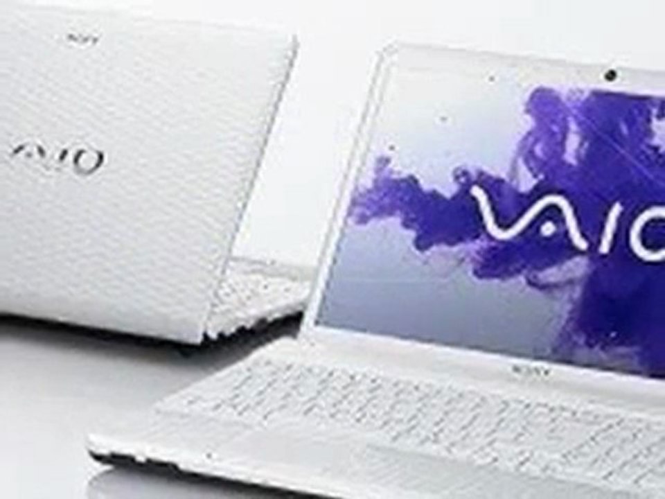 Sony VAIO VPC-EG13FX/B Laptop (Black)