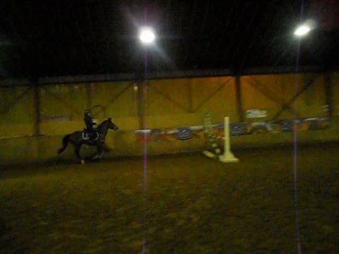 16.01.12 - Enchainement Oxer - Directionnel - Vertical