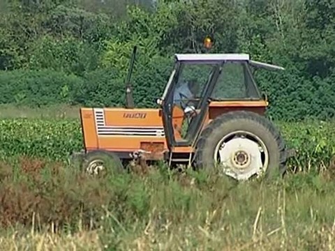 muore travolto da trattore