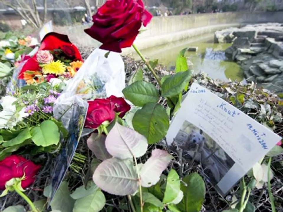 Denkmal für knut zeigt berühmten eisbären als träumer
