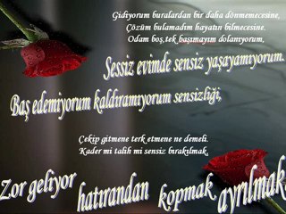 HÜSEYİN AKYOL KURŞUN 2012