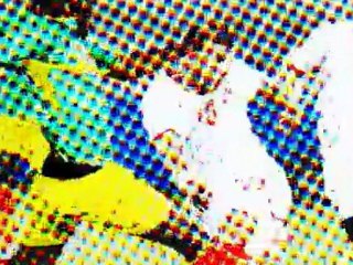 AFRICA CUP 2012: Get into the rythm of African soccer with FRANCE 24!