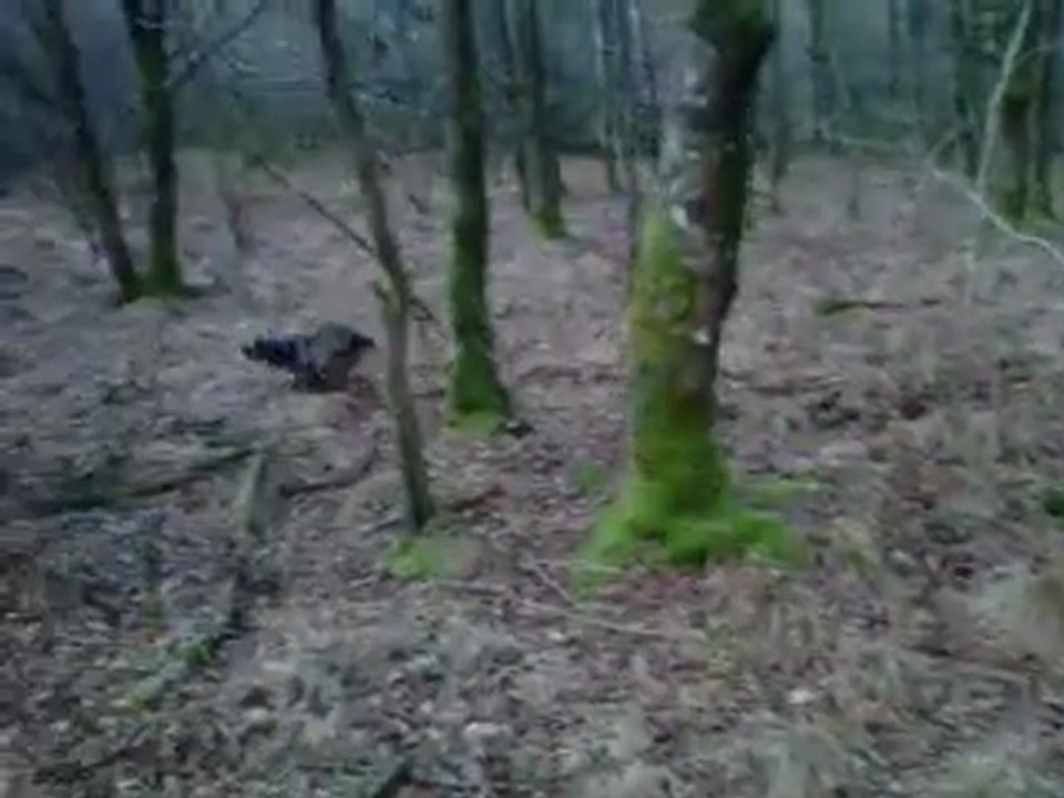 Cyrrus et Dingle 09.01.12