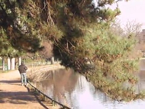 Les sonneurs du bois de Boulogne et le pêcheur