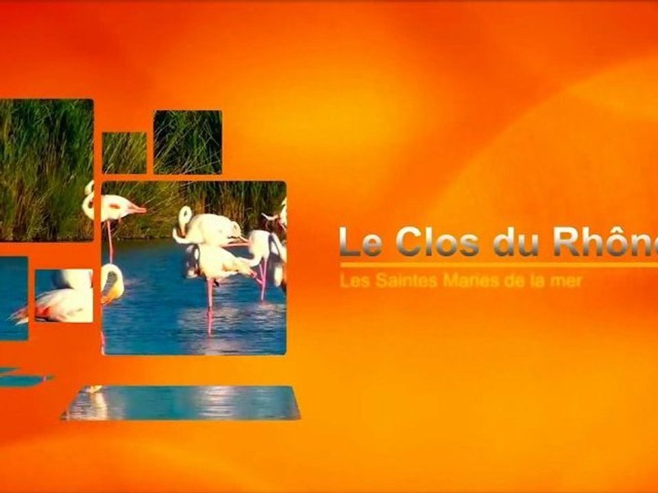 Le Clos du Rhône 2012