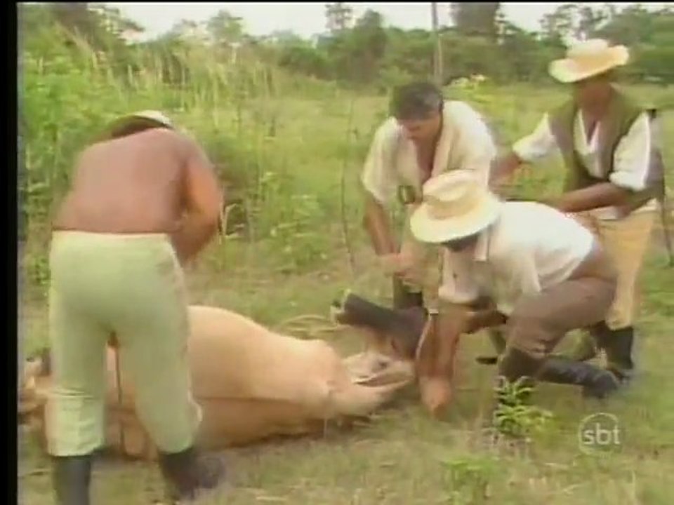 Dona Beija Capitulo 5 COMPLETO