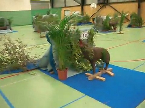 3D indoor SLC Miramas 15 01 2012 006