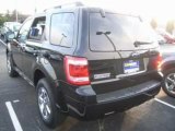 Used 2009 Ford Escape Knoxville TN - by EveryCarListed.com