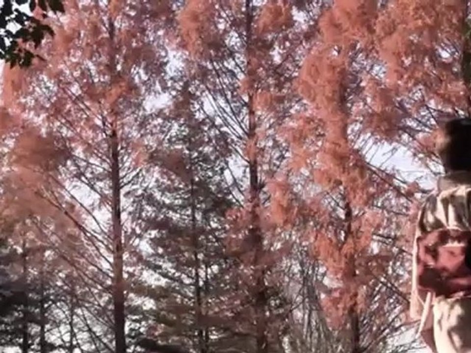 想い人PV