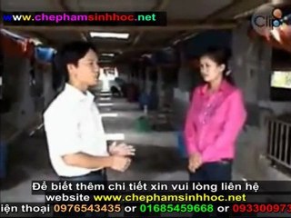 Cách ủ men vi sinh NN1 - hướng dẫn sử dụng men vi sinh NN1 phần 6