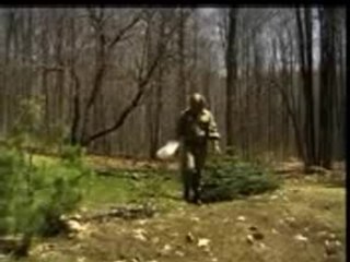 Les insectes - entomologiste canadien