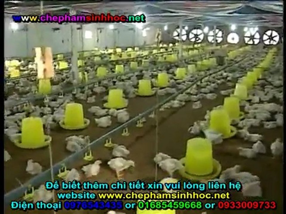 Chế phẩm balasa NO1 - dùng làm đệm lót lên men - đệm lót sinh học giúp người chăn nuôi gà, vịt đỡ tốn chi phí lao động