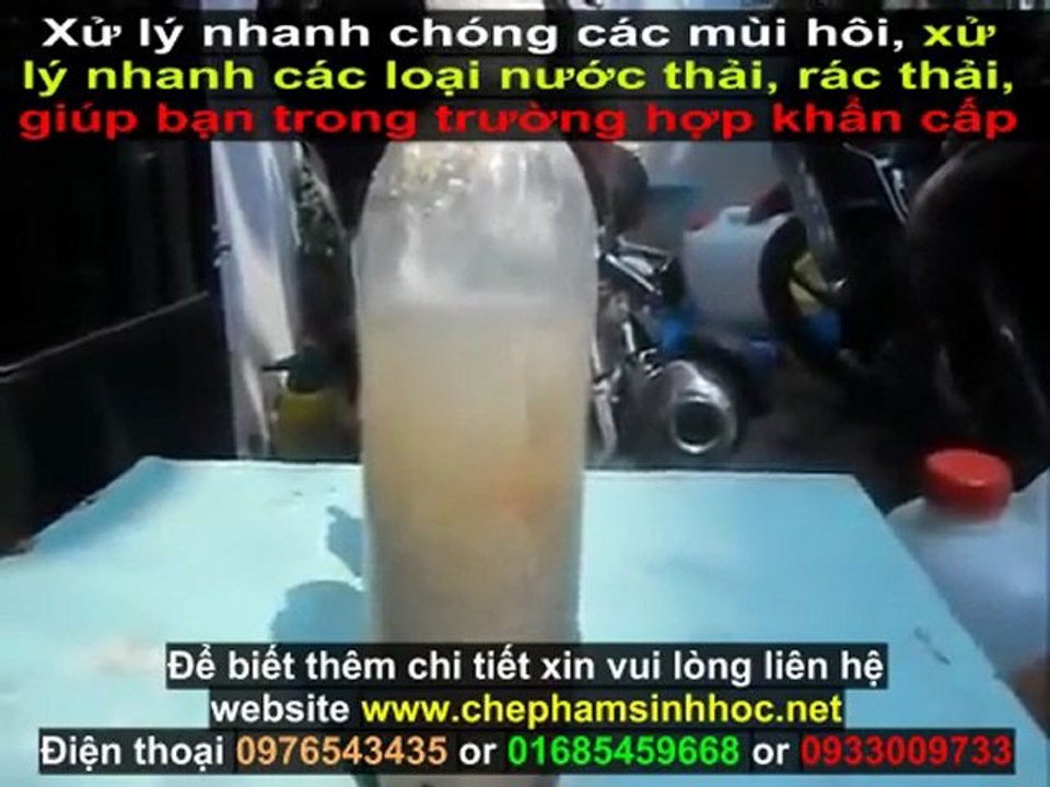 Xử lý mùi hôi nước thải chuồng trại chăn nuôi - Xử lý nước thải chăn nuôi lợn heo hiệu quả với chế phẩm weviro