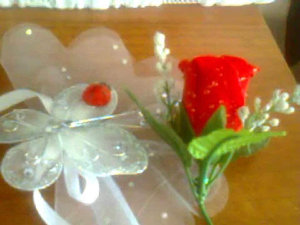 Birsen - La Isla Bonita