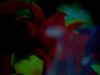 Birsen - Camdan Kalp