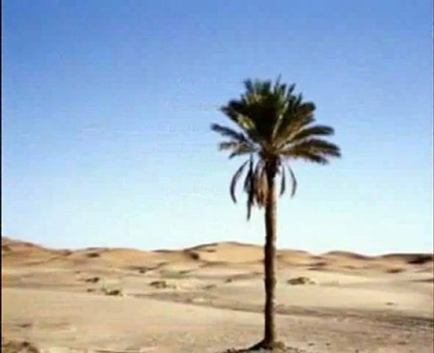 Şah-ı Nakşibend [Allah Dostları]