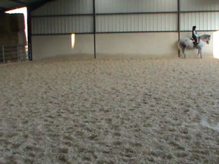 piaffer arrêt piaffer