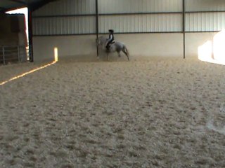 trot et galop hanches en dedans 17.01.12