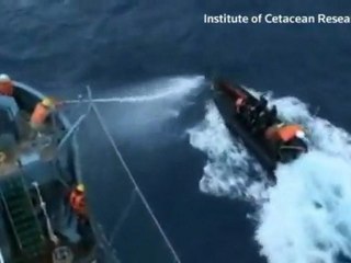 Whaling skirmish in high seas