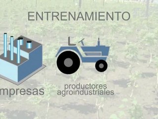 Grupo Consultor de Mercados Agrícolas - Distrito Federal