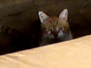 Kaleb réclame 18 01 12