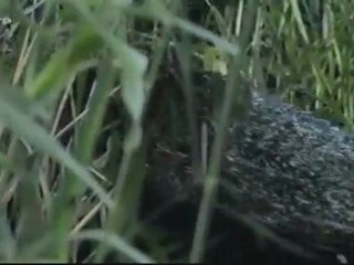 Grande histoire des océans (3-3)