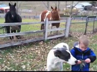 Washington Couple Hoping to Adopt with Lifetime Adoption Cen