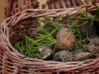 Film Presqu'île de Rhuys 2012