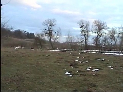 alın götürün beni eflaninin geceleri