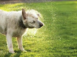 AQUA A Journey Into the World of Water now on at the National Maritime Museum