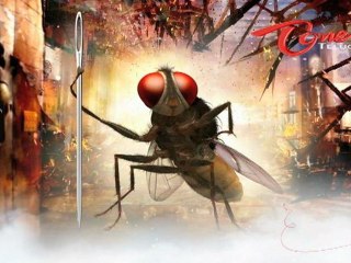 Raja Mouli "Eega" Working Stills