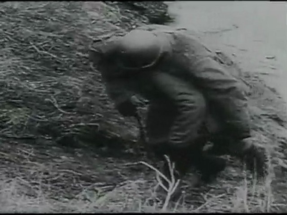 l'histoire secrete des waffen ss (2)