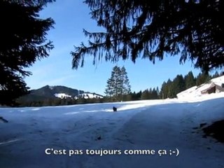 Balade dans la neige
