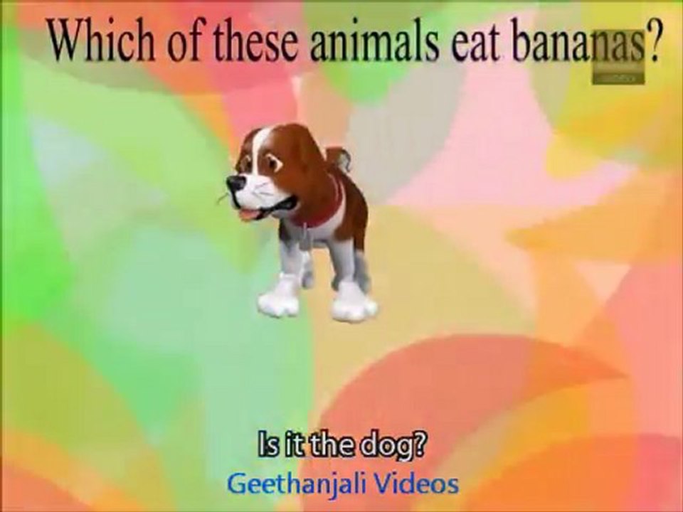 Learn About The Animal Kingdom