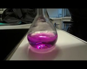 Expérience TPE homéopathie