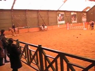 Atahan Doğa Beykoz_3386