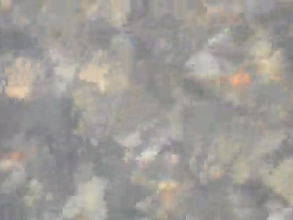 Observation de truites en Janvier 2012 sur la Thur