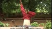 Yoga & Tantra Chakras  Ajna Brow Chakra  Shirsa Asana