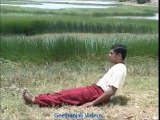 Yoga For Hypertension Sapurna Matsya Asana